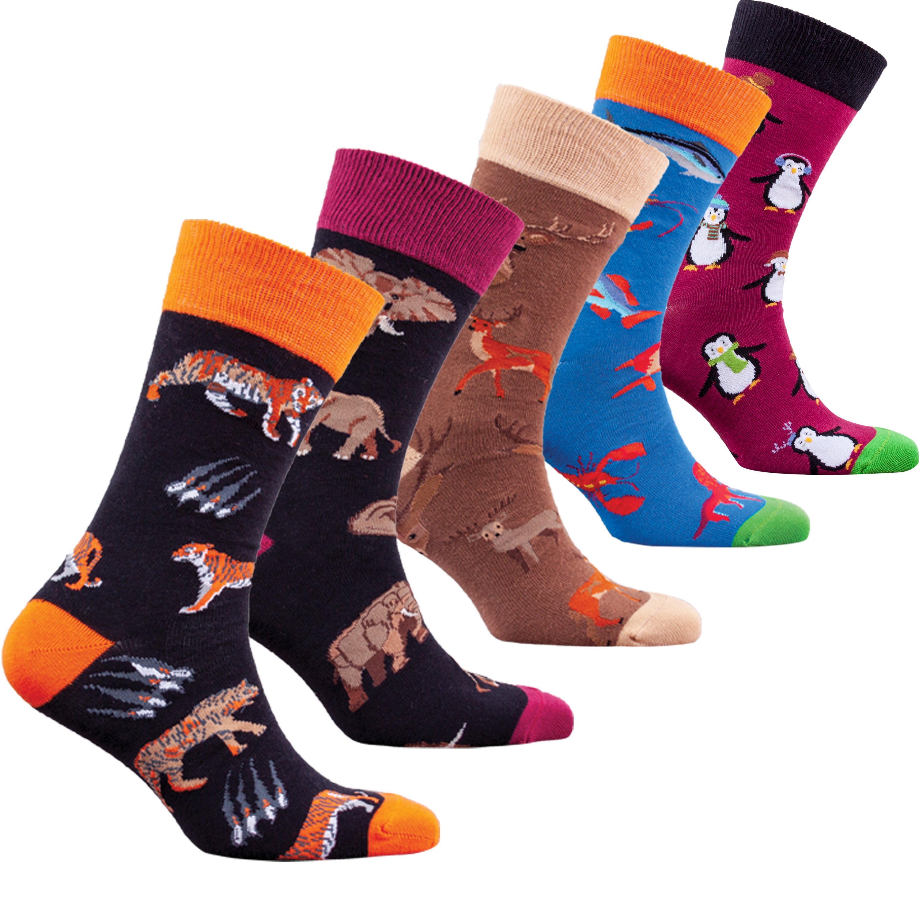 Men's Animal Planet Socks featuring colorful and funky designs made from soft Turkish cotton.