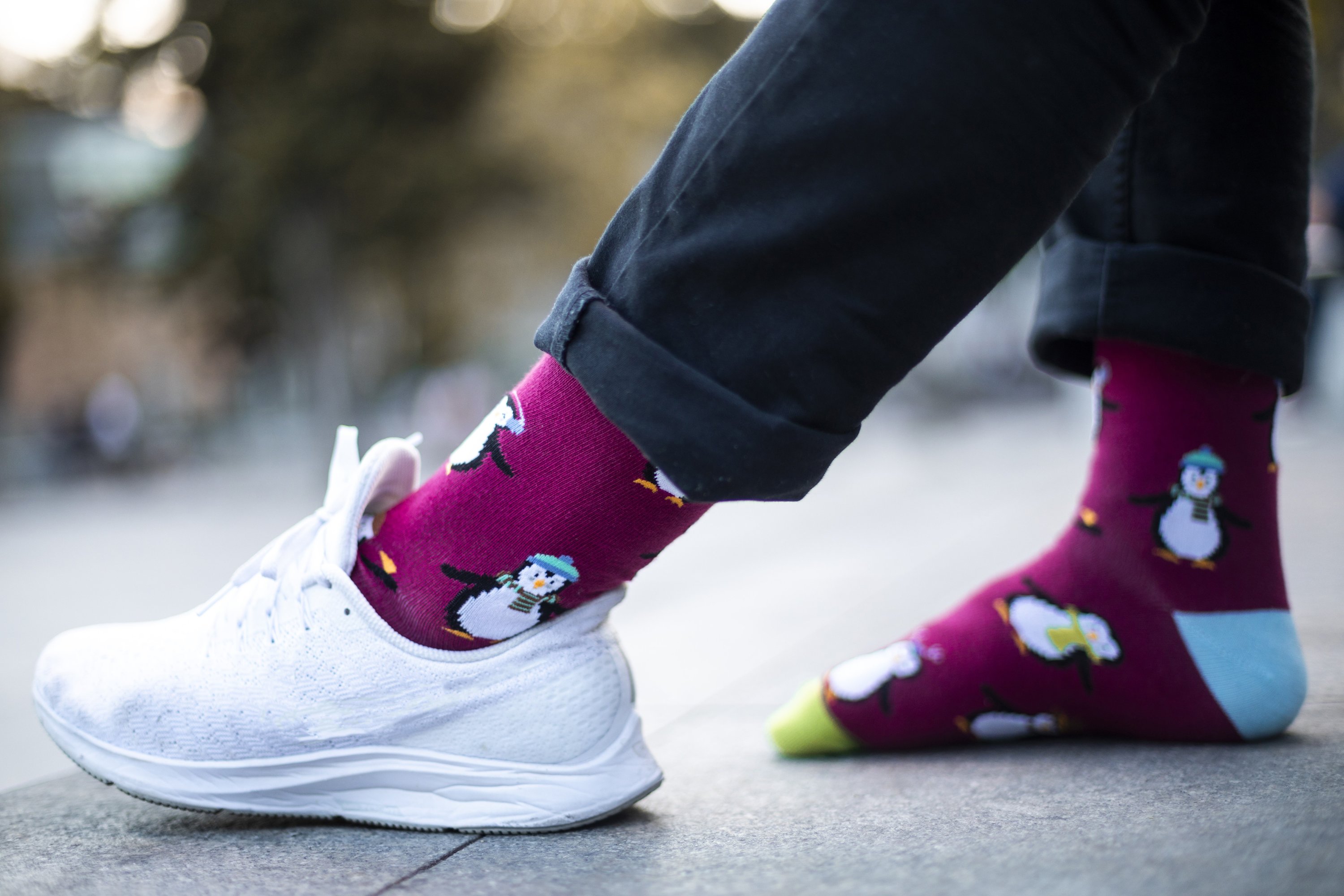 Men's Animal Planet Socks featuring colorful and funky designs made from soft Turkish cotton.