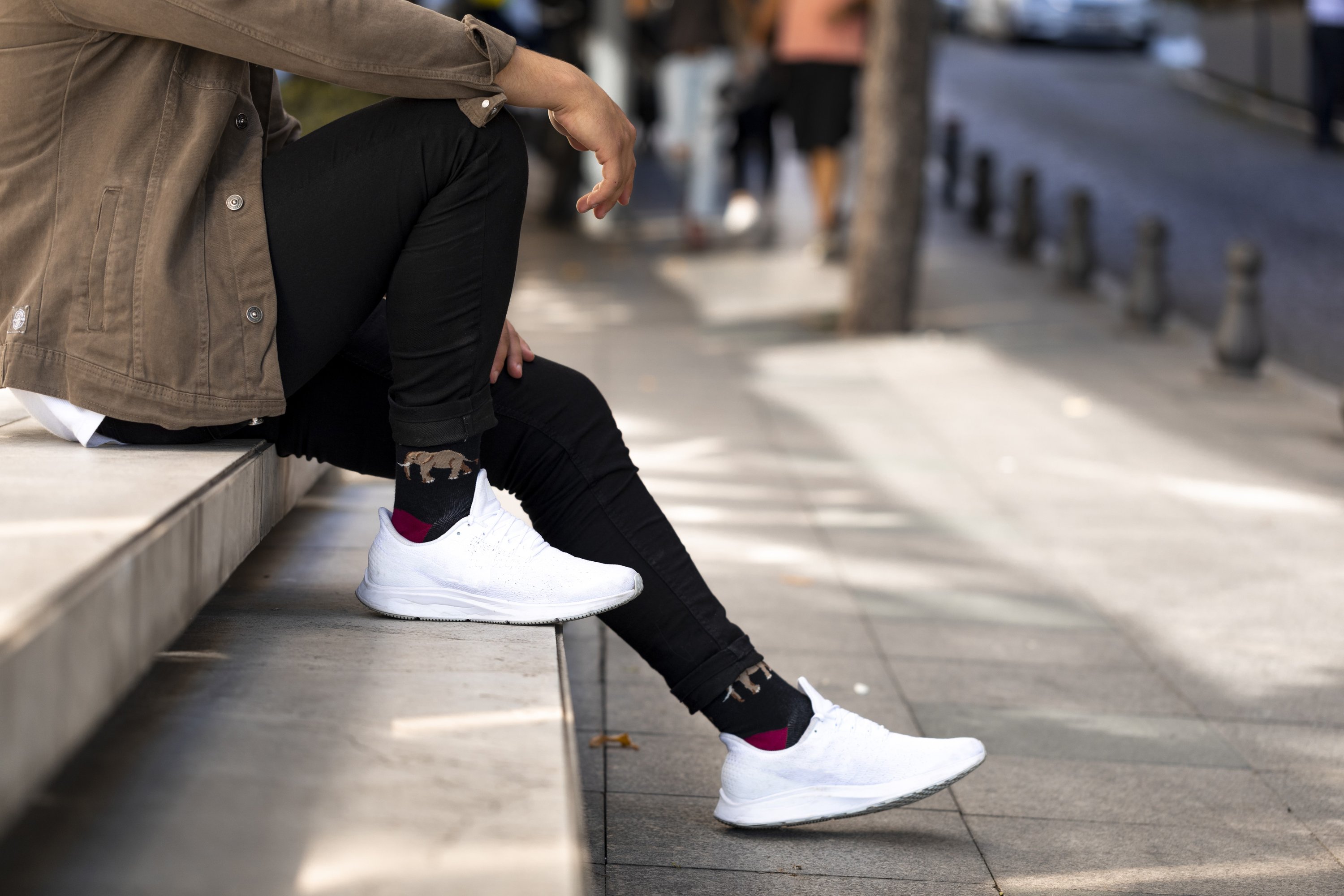 Men's Animal Planet Socks featuring colorful and funky designs made from soft Turkish cotton.