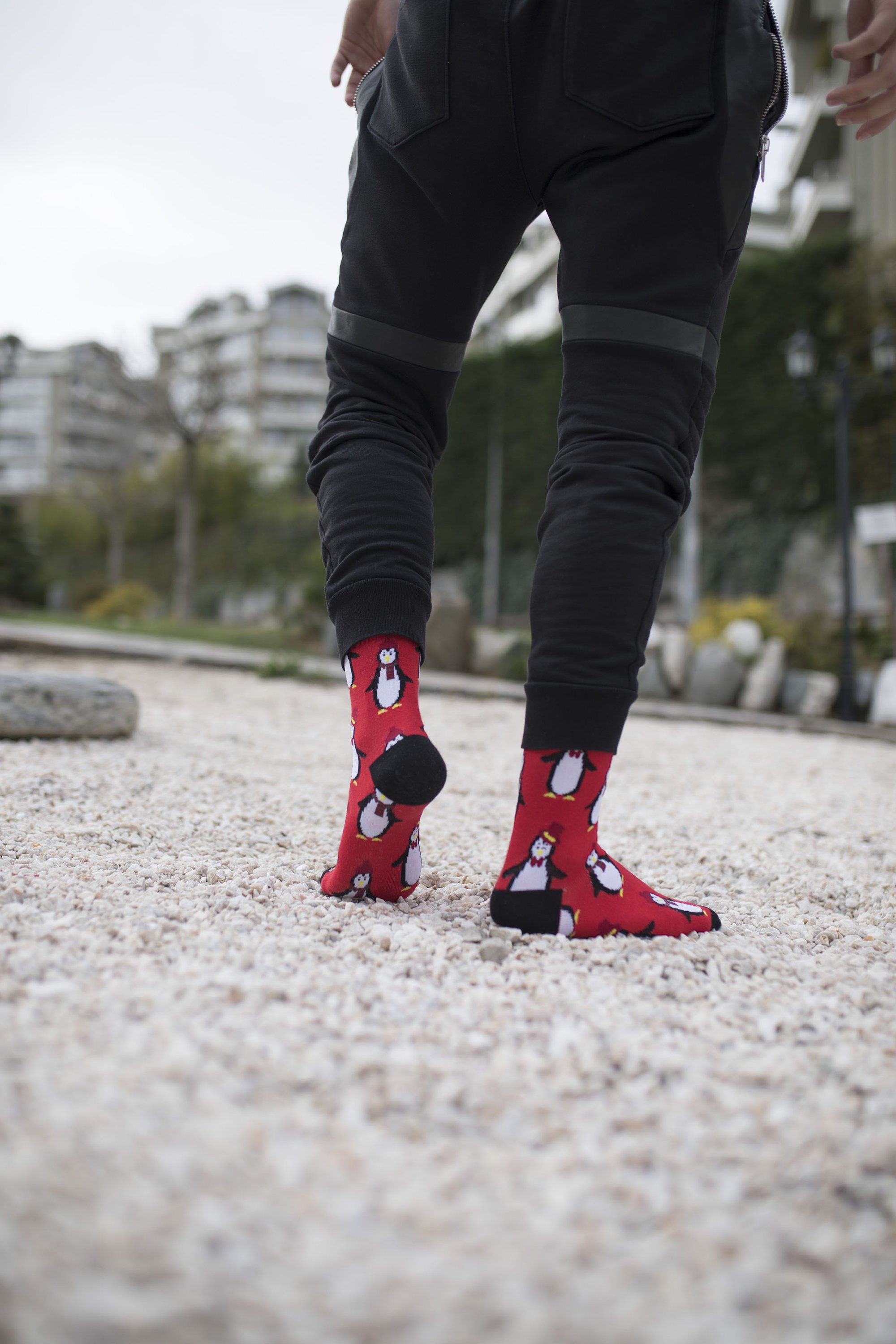 Men's Christmas socks featuring a playful penguin design, made from soft combed cotton.