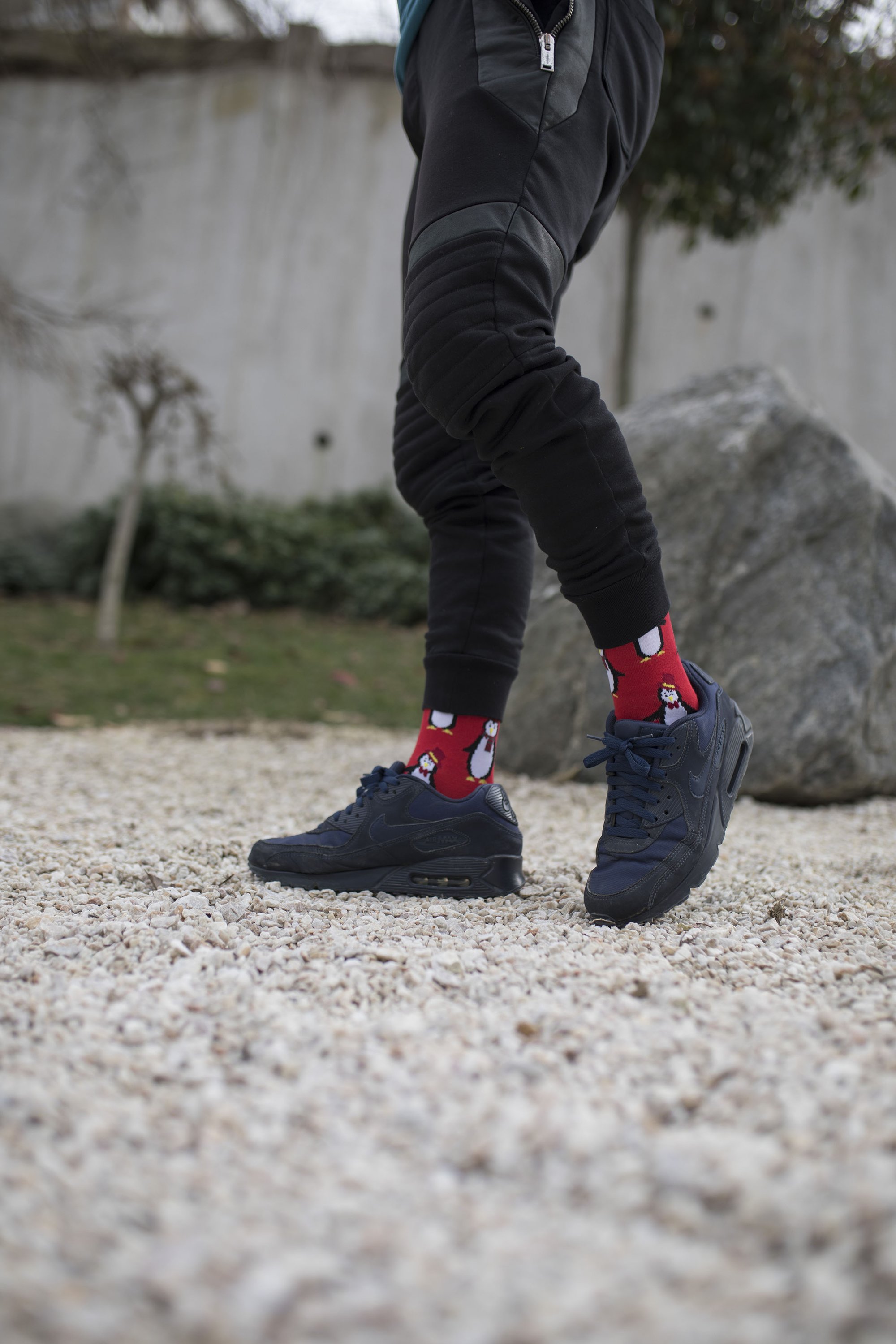 Men's Christmas socks featuring a playful penguin design, made from soft combed cotton.