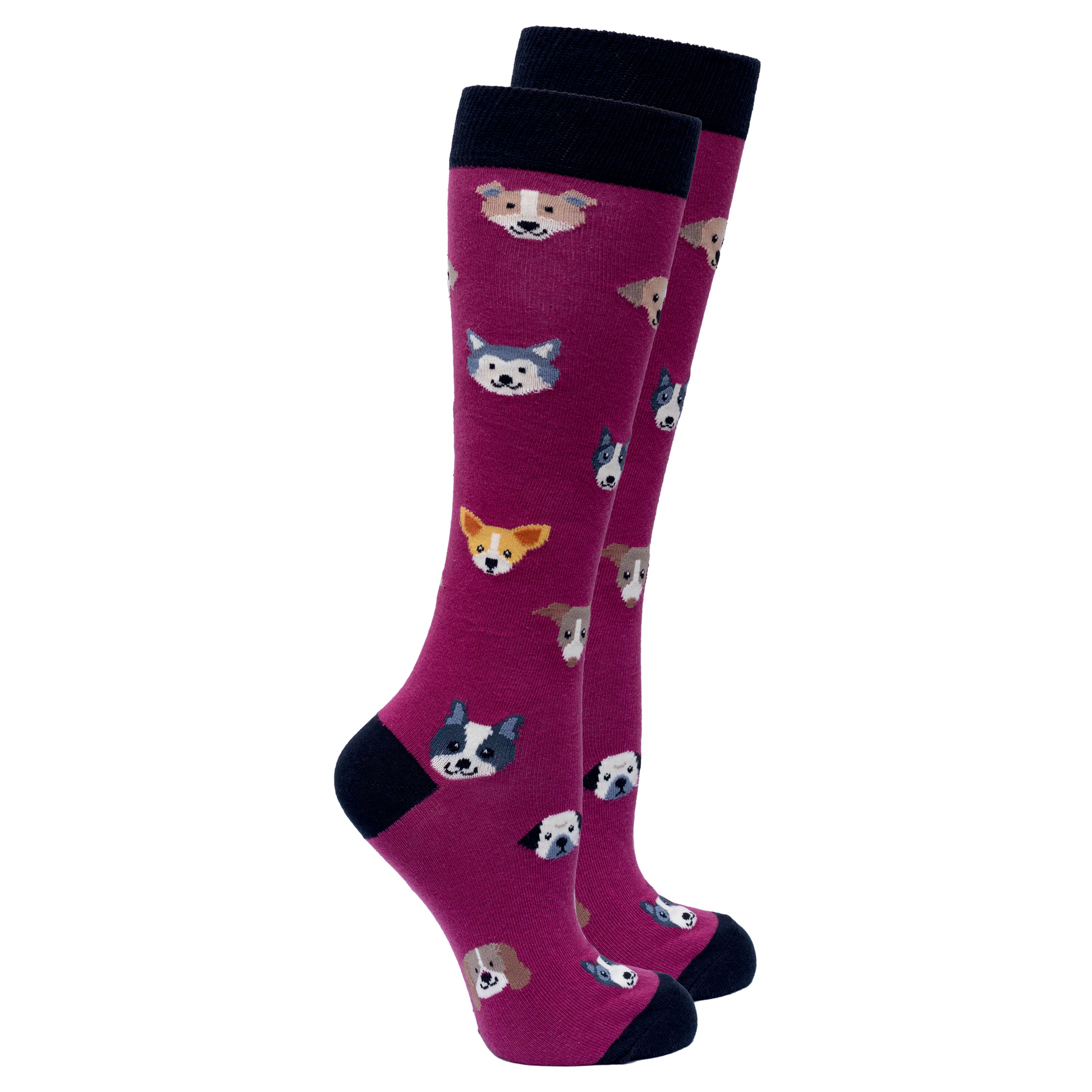 A pair of colorful knee-high socks featuring cute dog designs, made from soft cotton for comfort and style.