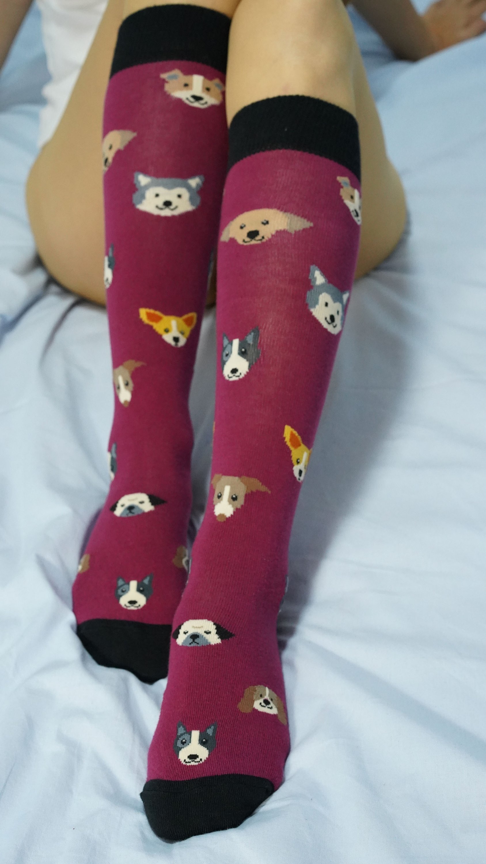 A pair of colorful knee-high socks featuring cute dog designs, made from soft cotton for comfort and style.