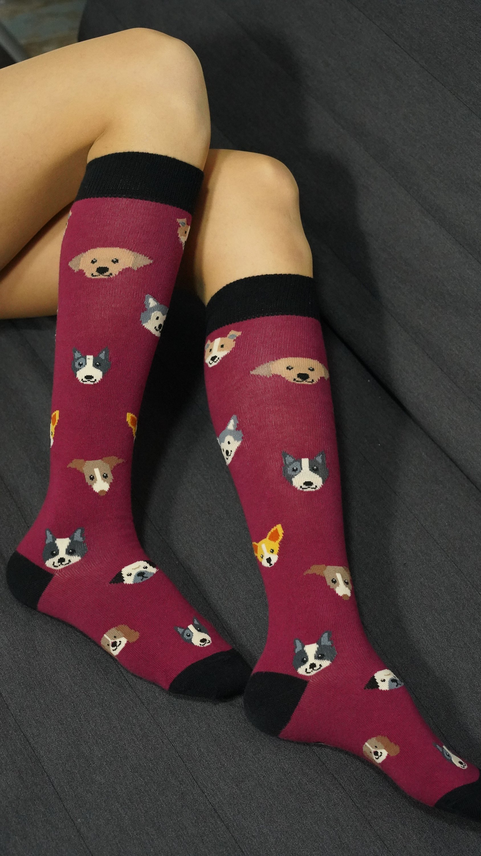 A pair of colorful knee-high socks featuring cute dog designs, made from soft cotton for comfort and style.