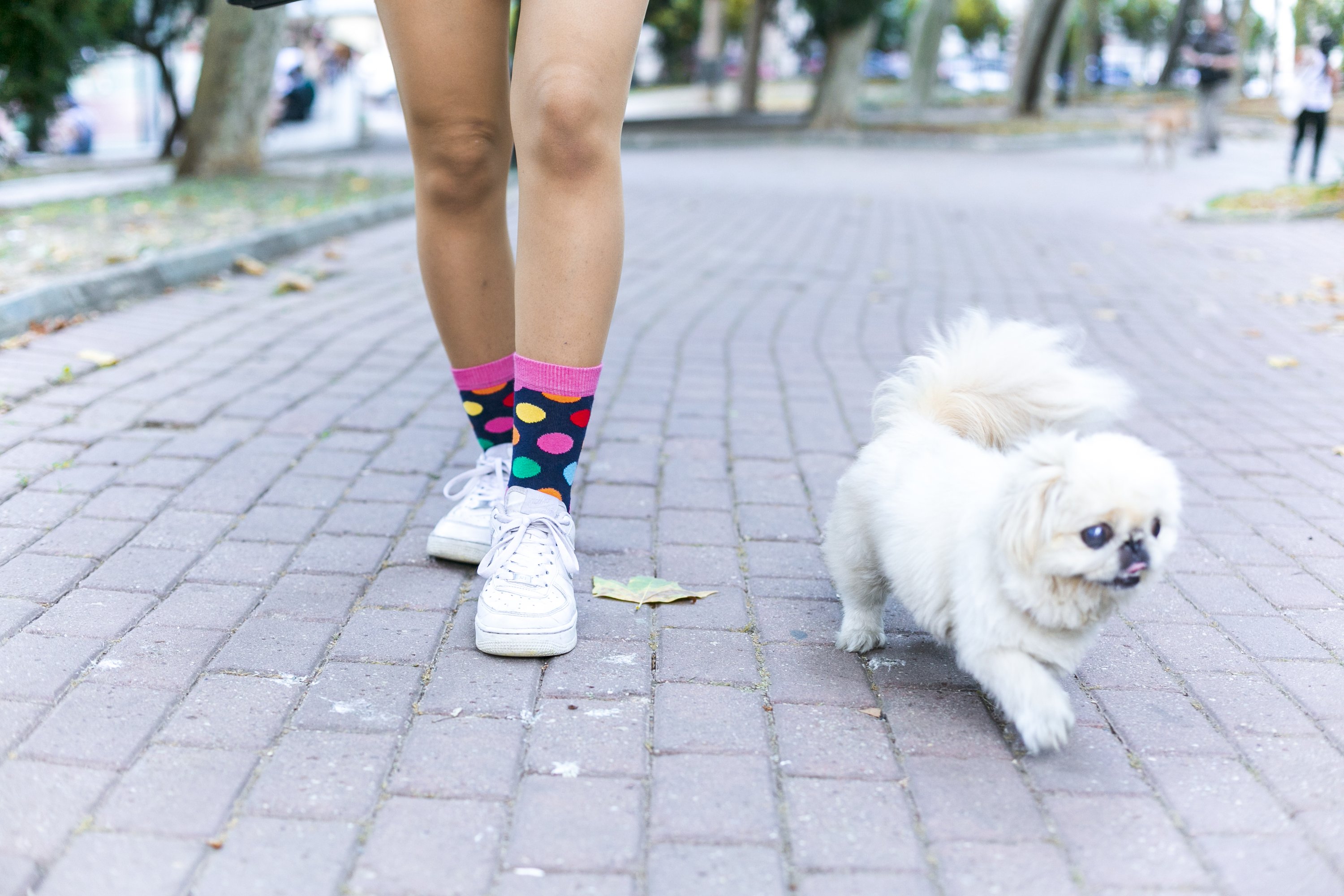 A pair of Women's Pink Sky Dot Socks featuring a vibrant pink color with playful dot patterns, made from soft Turkish cotton.