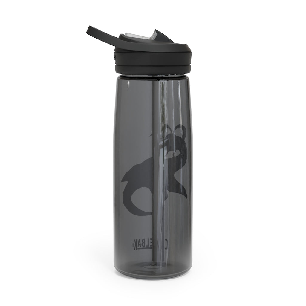 Alpro CamelBak Eddy® Water Bottle in 20oz and 25oz sizes, showcasing its robust design and easy-carry handle.