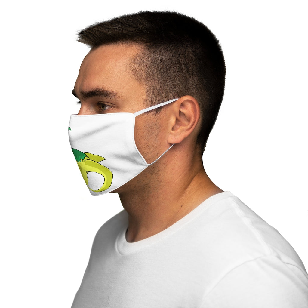 Alpro Snug-Fit Polyester Face Mask featuring a stylish design with elastic earloops and a soft cotton interior for comfort.