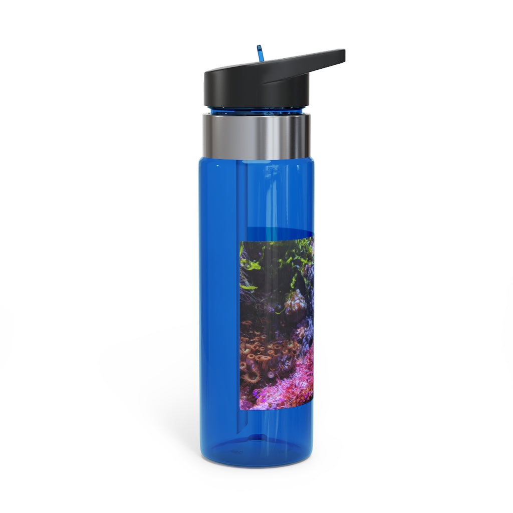 Aquarium Kensington Tritan™ Sport Bottle in vibrant colors with a carabiner hook and straw lid, showcasing its sleek design and 20oz capacity.