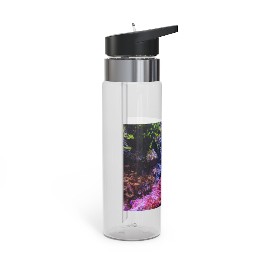 Aquarium Kensington Tritan™ Sport Bottle in vibrant colors with a carabiner hook and straw lid, showcasing its sleek design and 20oz capacity.