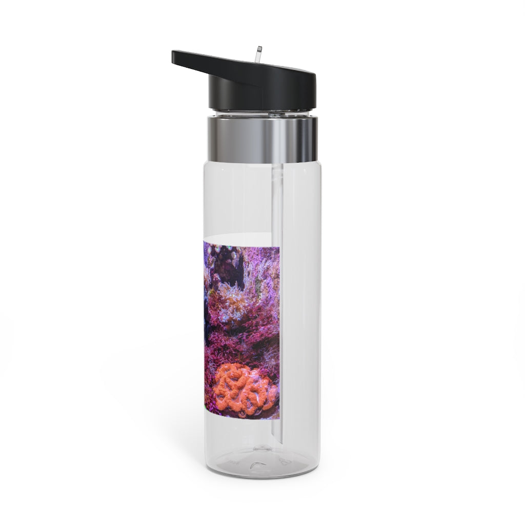 Aquarium Kensington Tritan™ Sport Bottle in vibrant colors with a carabiner hook and straw lid, showcasing its sleek design and 20oz capacity.