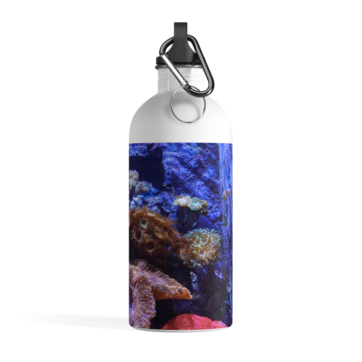 Aquarium Stainless Steel Water Bottle with a plastic screw top and carabiner, showcasing a vibrant print design.