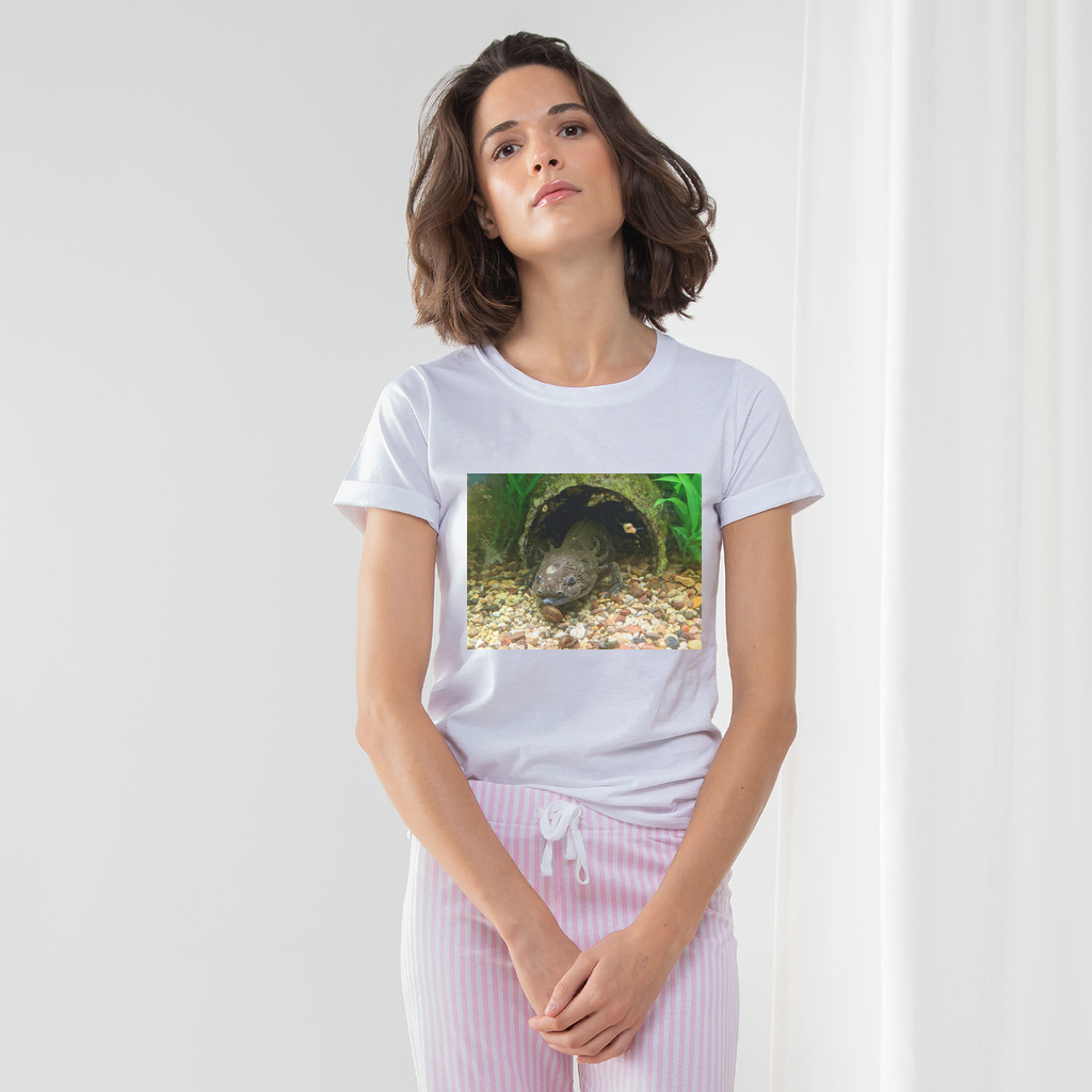 Axoltl Women's Long Pant Pyjama Set featuring a white t-shirt, striped pants, and matching drawcord bag in heather grey and light pink.