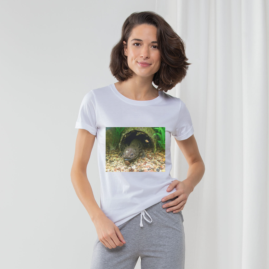 Axoltl Women's Long Pant Pyjama Set featuring a white t-shirt, striped pants, and matching drawcord bag in heather grey and light pink.