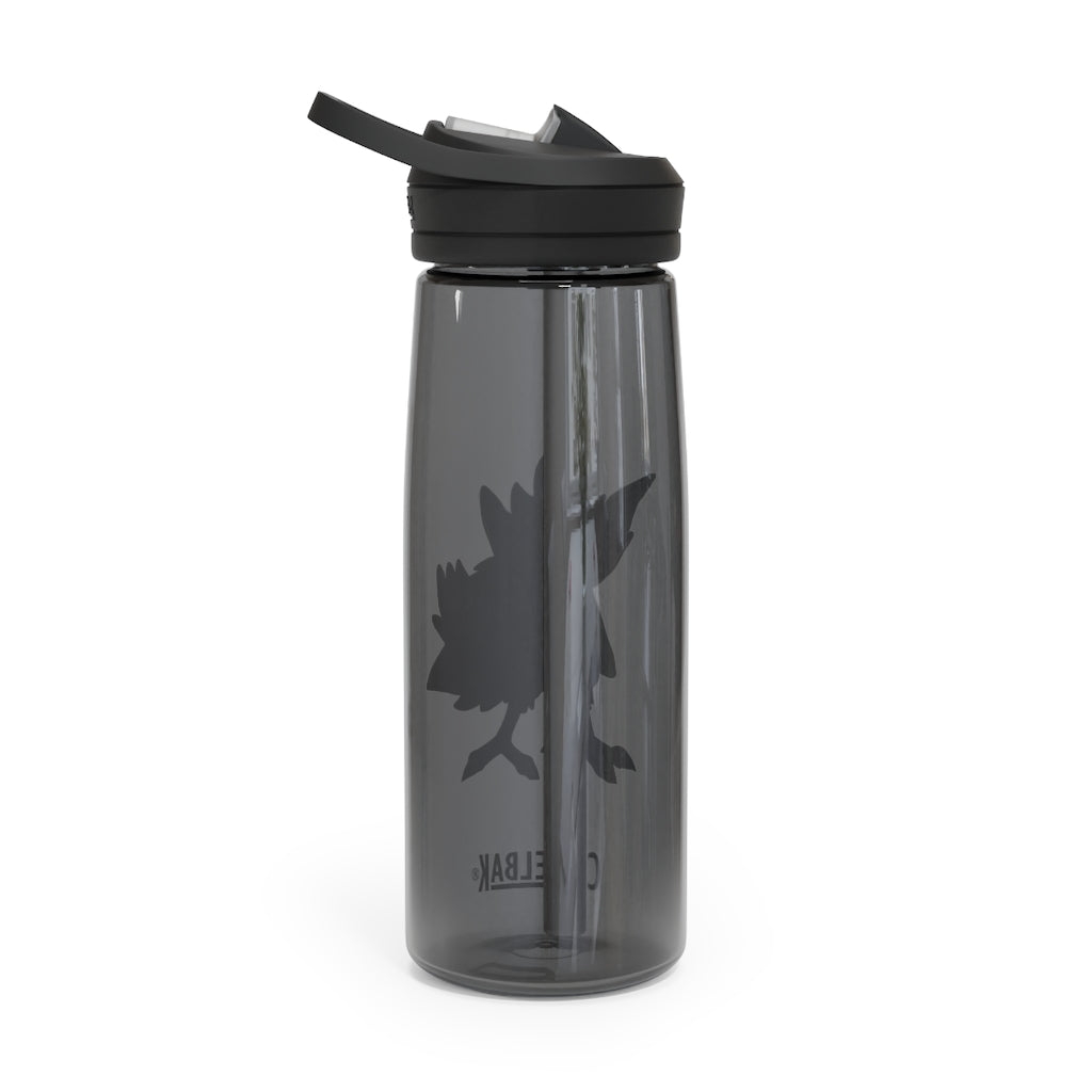 BiChipla CamelBak Eddy® Water Bottle in 20oz and 25oz sizes, showcasing its durable Tritan™ material and spill-proof design.