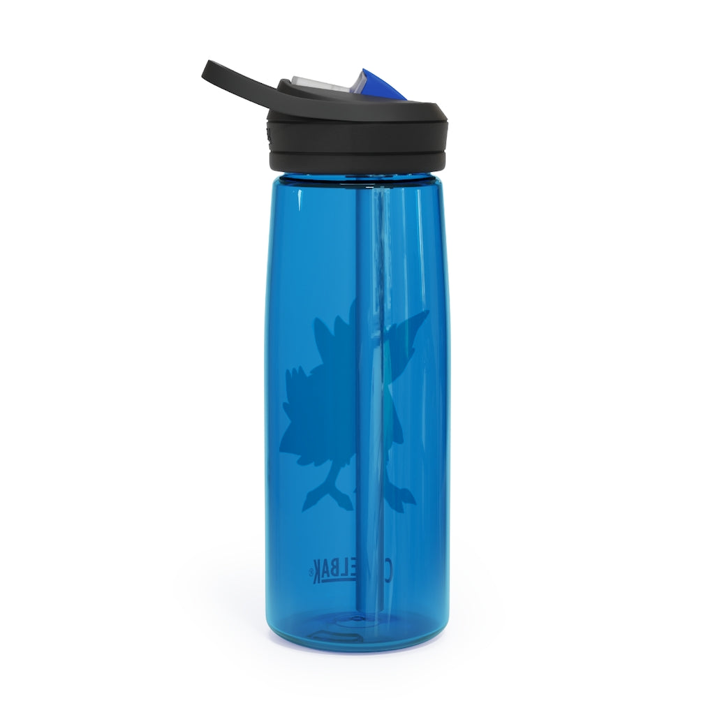 BiChipla CamelBak Eddy® Water Bottle in 20oz and 25oz sizes, showcasing its durable Tritan™ material and spill-proof design.