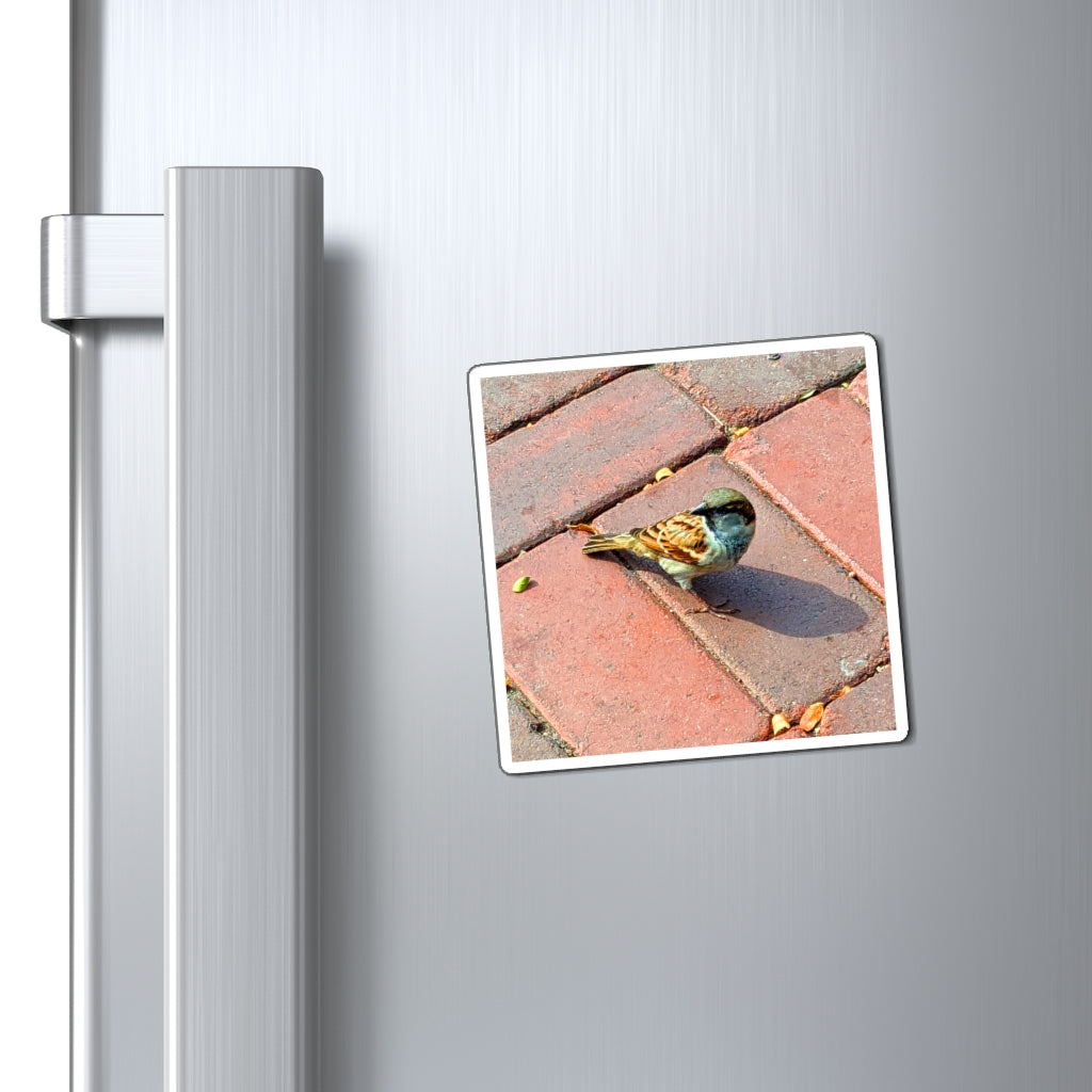 A collection of colorful Bird Magnets showcasing various designs and sizes, perfect for displaying messages on metallic surfaces.