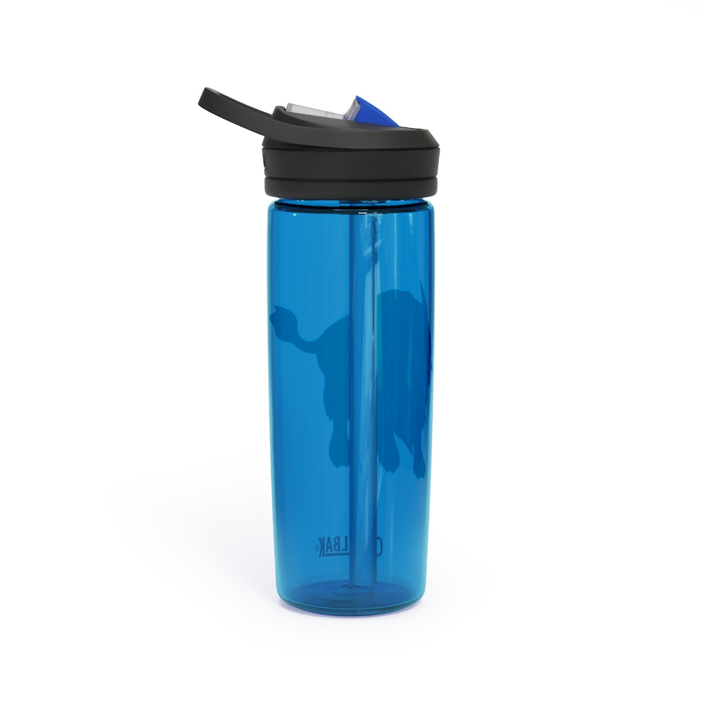 Bitox CamelBak Eddy® Water Bottle in 20oz and 25oz sizes, showcasing its durable Tritan™ material and spill-proof biting valve.