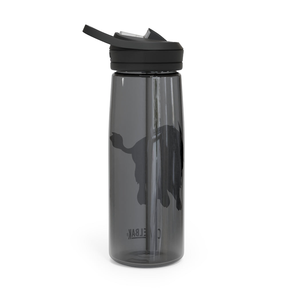 Bitox CamelBak Eddy® Water Bottle in 20oz and 25oz sizes, showcasing its durable Tritan™ material and spill-proof biting valve.