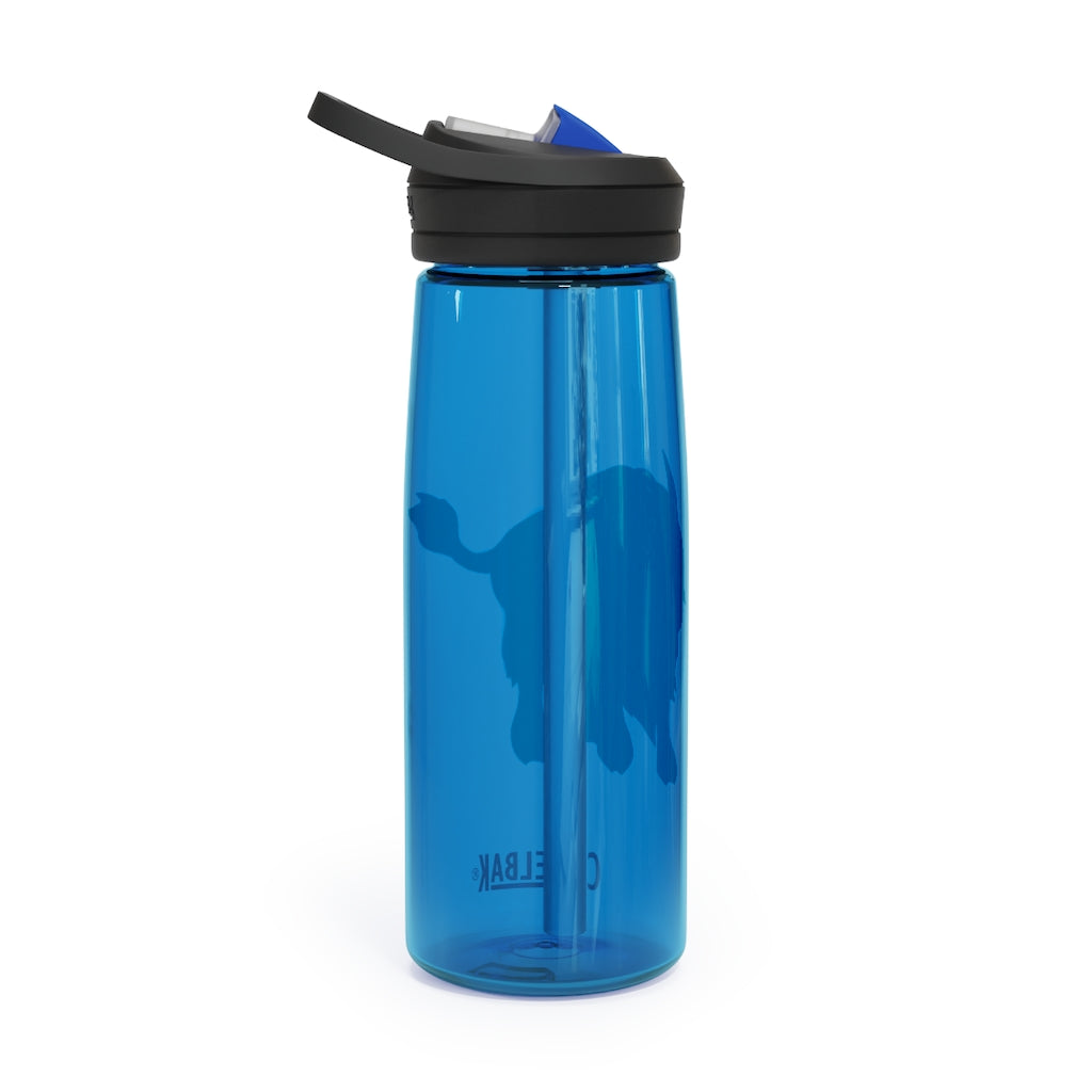 Bitox CamelBak Eddy® Water Bottle in 20oz and 25oz sizes, showcasing its durable Tritan™ material and spill-proof biting valve.