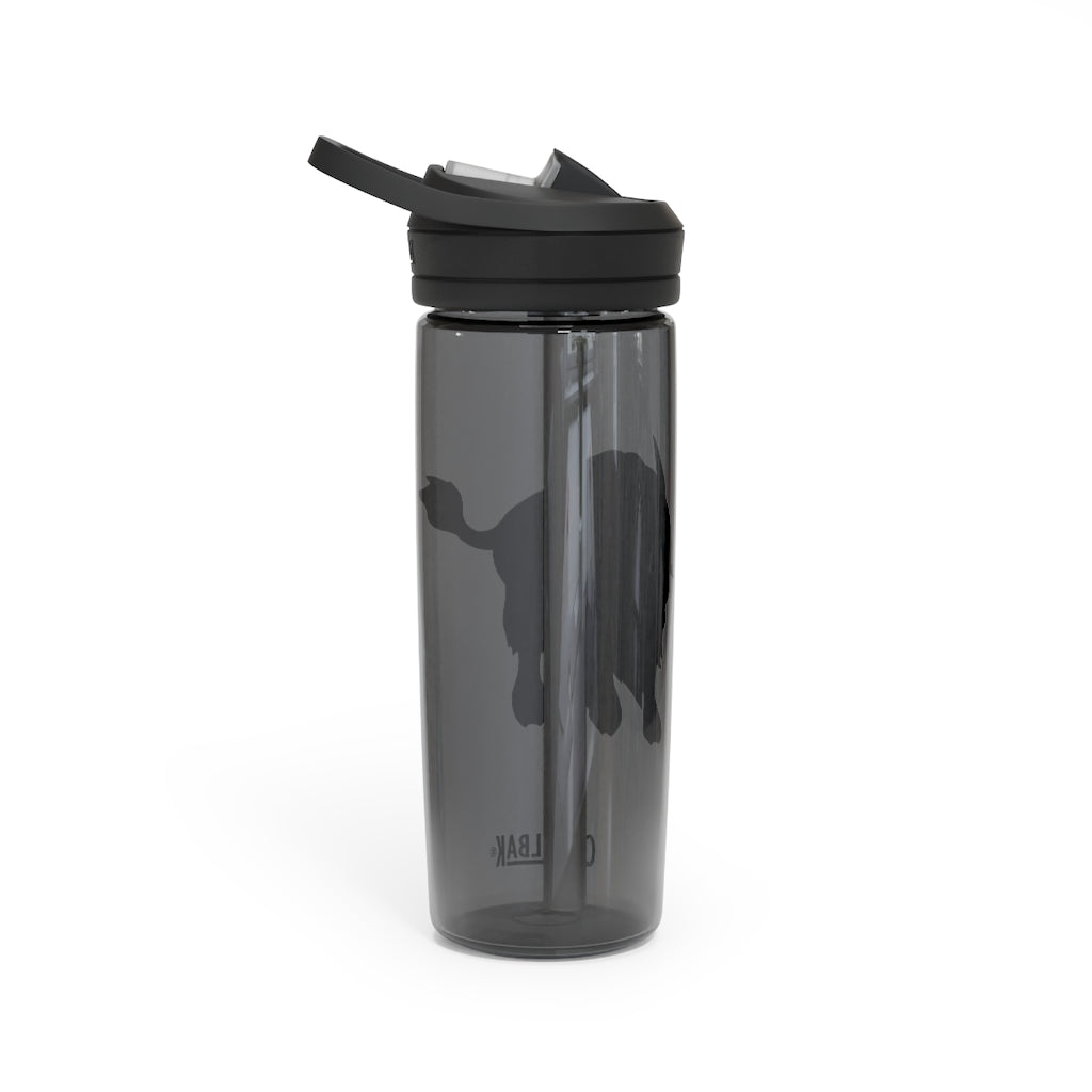 Bitox CamelBak Eddy® Water Bottle in 20oz and 25oz sizes, showcasing its durable Tritan™ material and spill-proof biting valve.