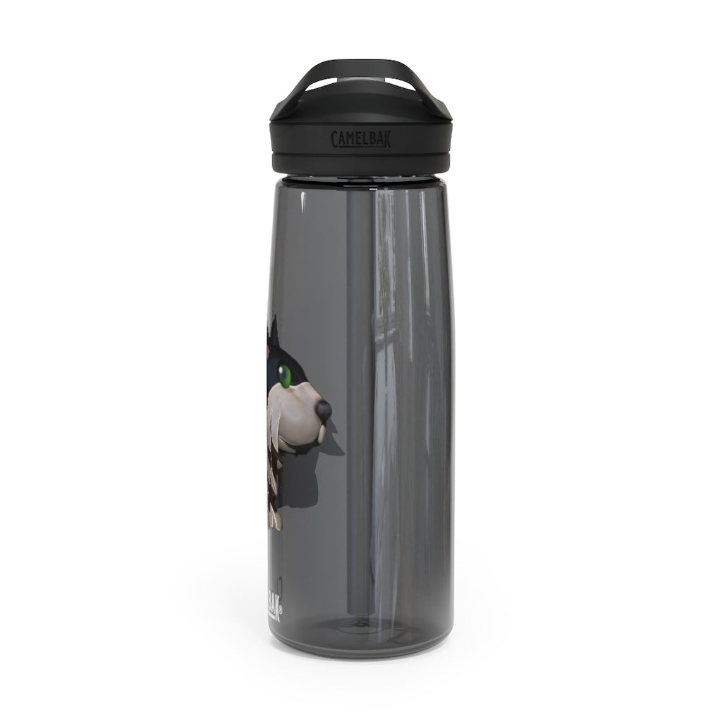 Black Dog CamelBak Eddy® Water Bottle in 20oz and 25oz sizes, showcasing its durable Tritan™ material and spill-proof design.