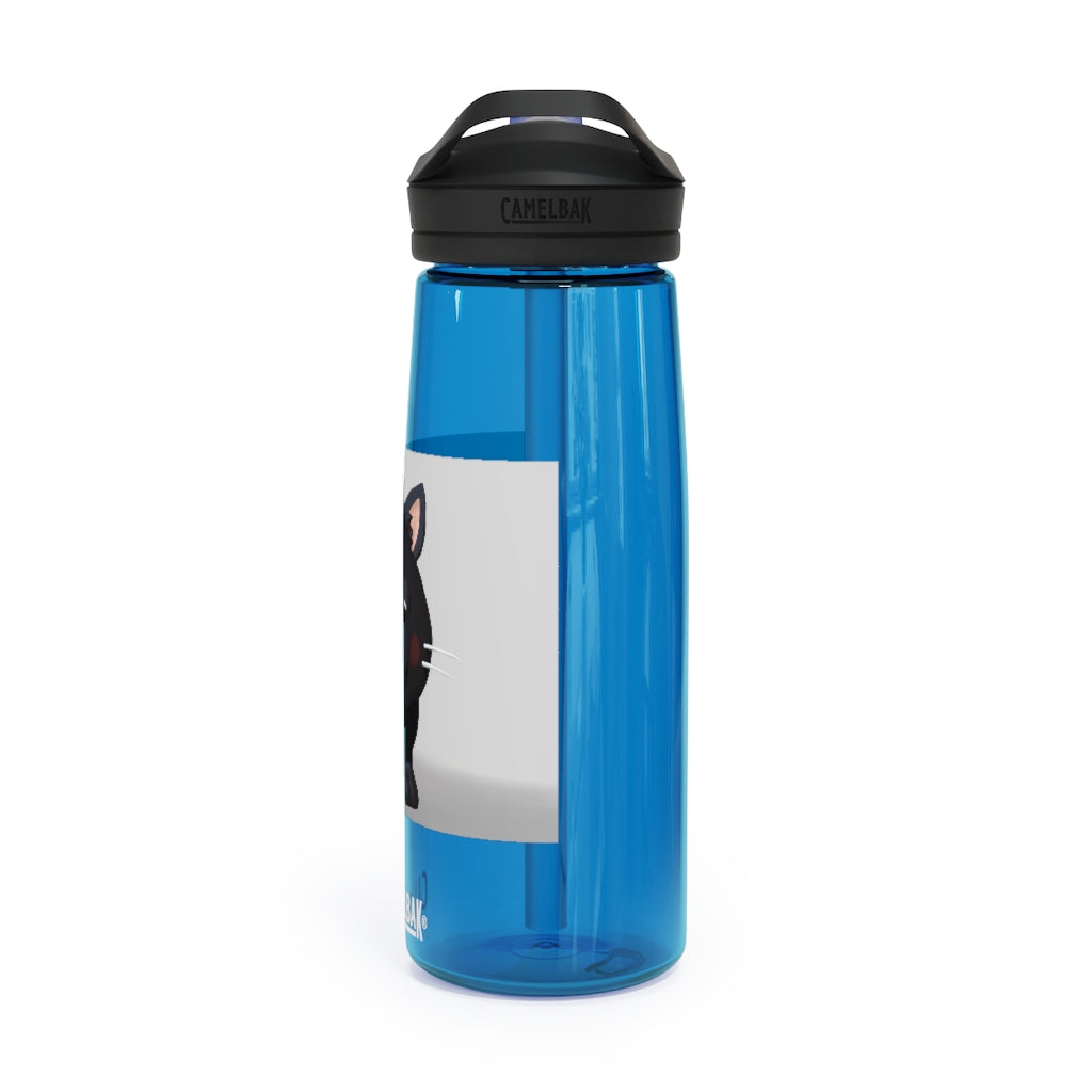 Black Kitty CamelBak Eddy® Water Bottle in 20oz and 25oz sizes, featuring a playful black kitty design.