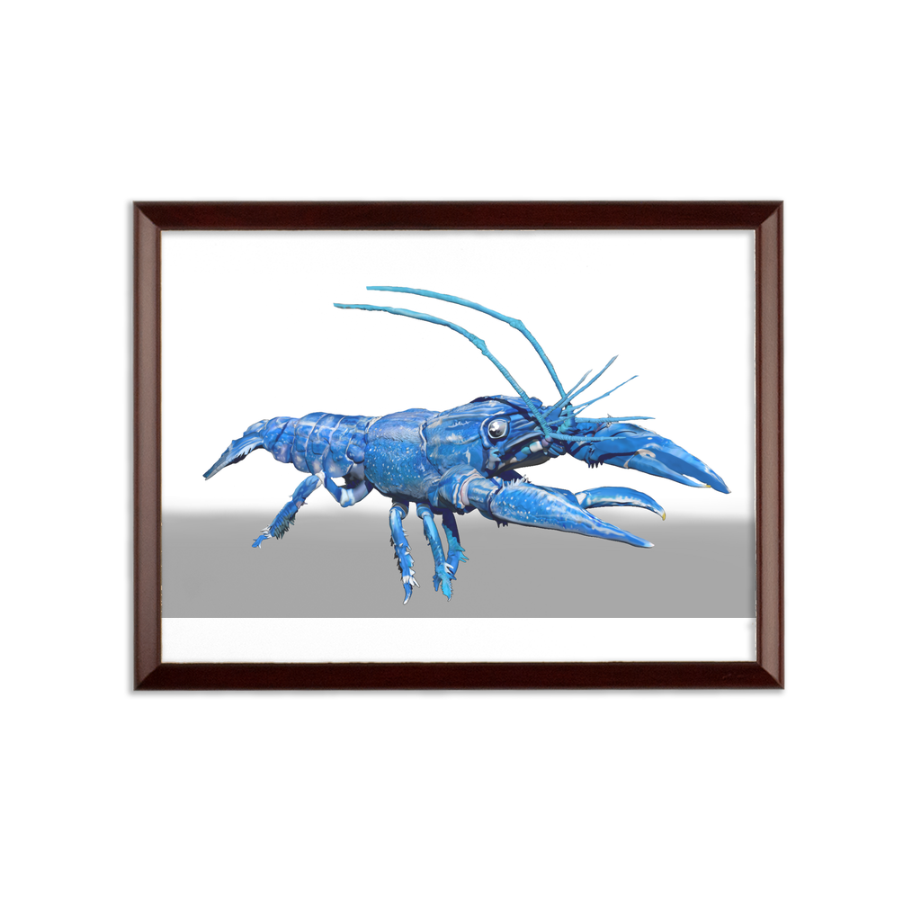 Blue Crawfish Sublimation Wall Plaque with a brown wooden frame and white printable surface, showcasing its elegant ogee shaped edge.