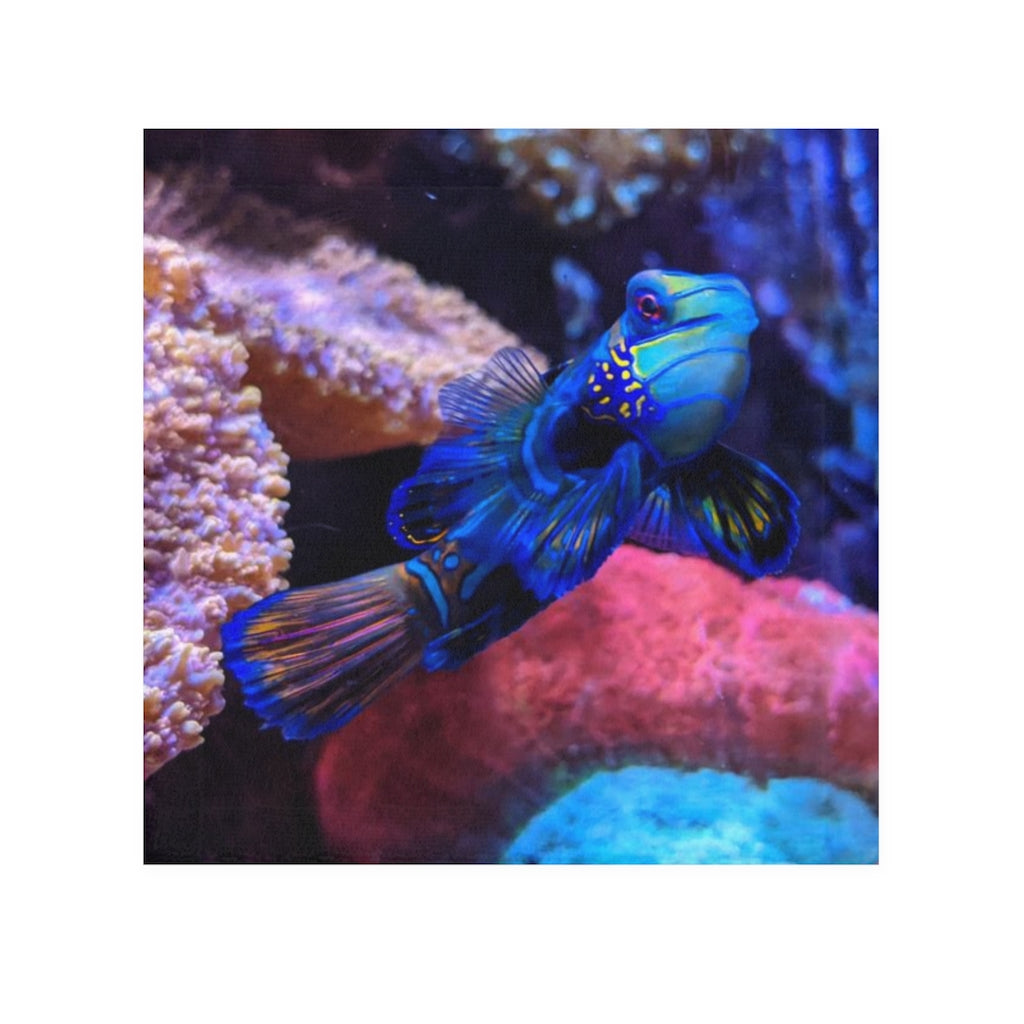 Blue Fish Face Towel featuring a vibrant customizable front and soft absorbent cotton back, perfect for personal use or gifting.