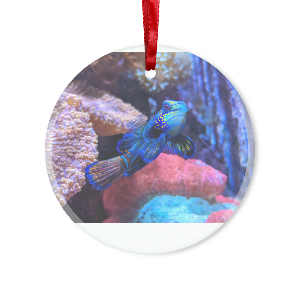 A beautifully crafted Blue Fish Glass Hanging Ornament in round and heart shapes, featuring a hole for hanging with a red ribbon and gold string.