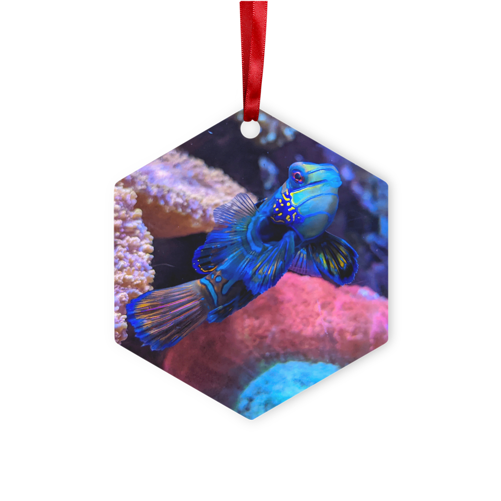 Blue Fish Metal Hanging Ornament with red ribbon and gold string, available in hexagon and star shapes, glossy white finish.