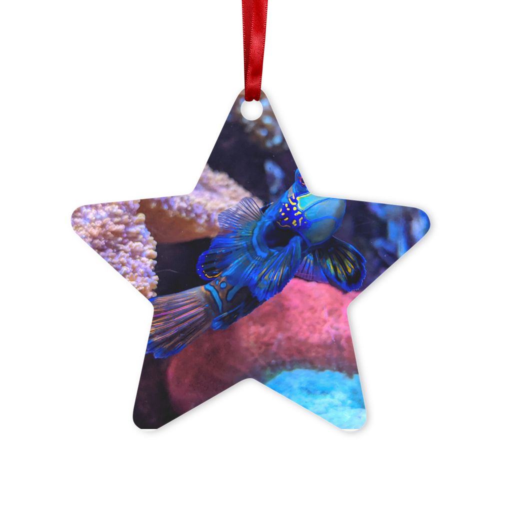 Blue Fish Metal Hanging Ornament with red ribbon and gold string, available in hexagon and star shapes, glossy white finish.