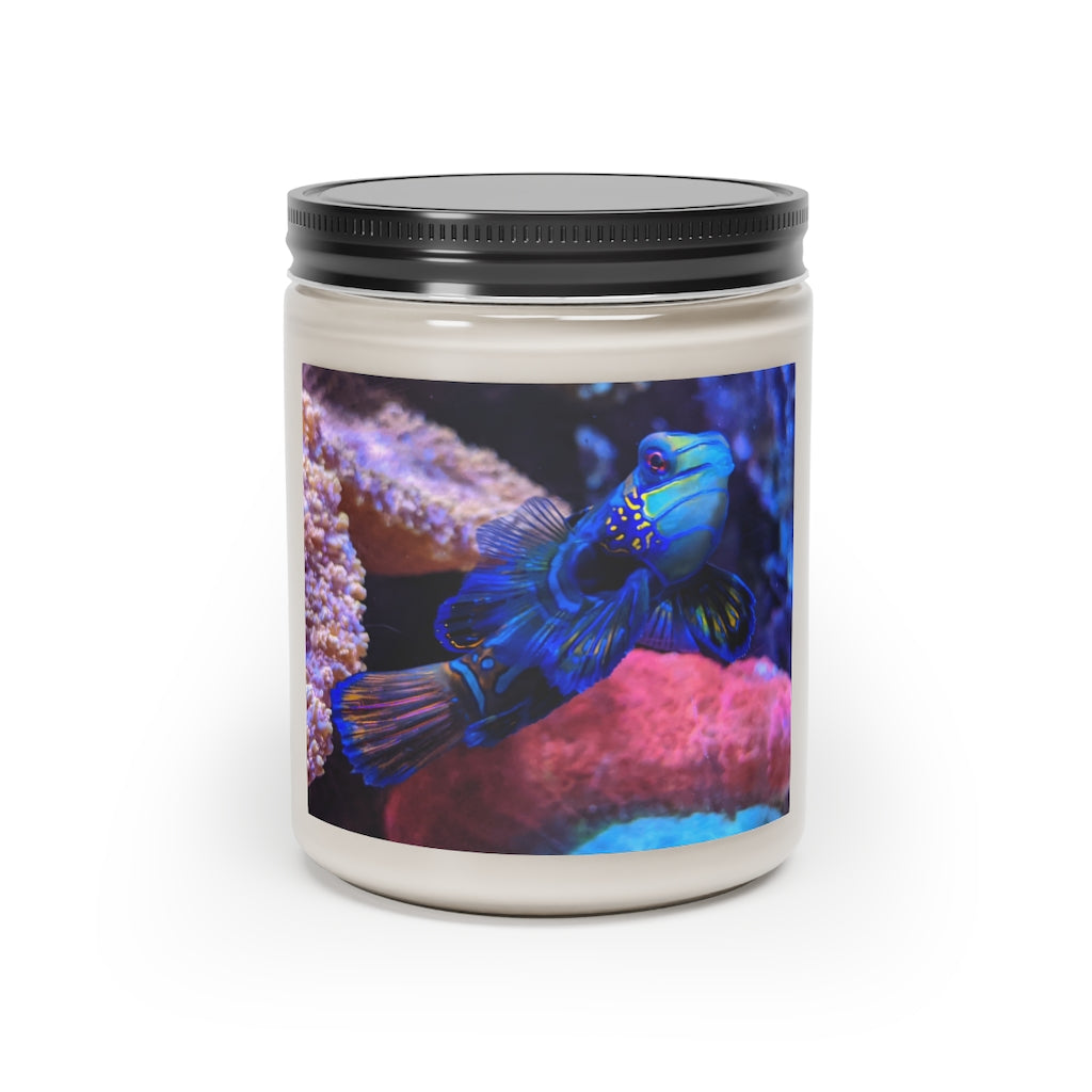 Blue Fish Scented Candle in a glass container, featuring a permanent adhesive label, made from vegan soy coconut wax.