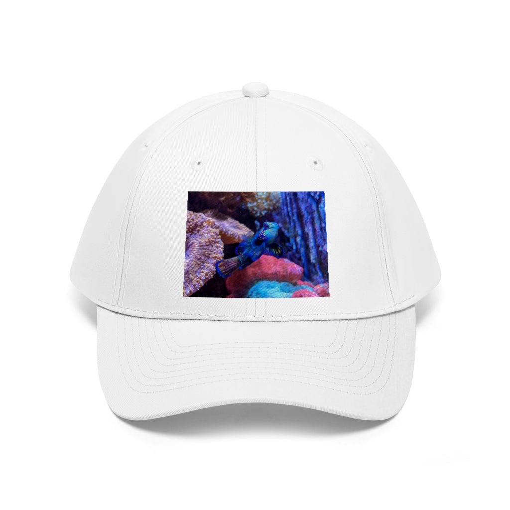 Blue Fish Unisex Twill Hat featuring a classic 6-panel design in 100% cotton twill with adjustable Velcro closure.