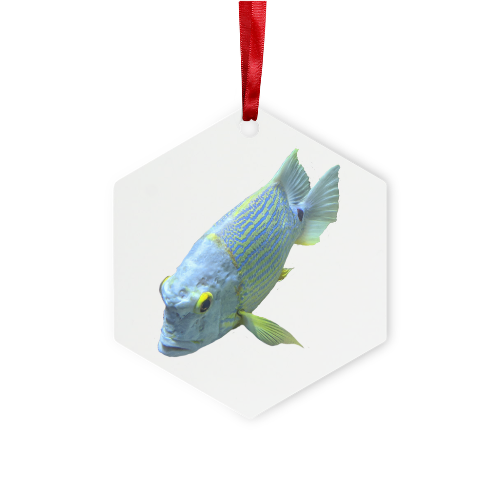 BlueYellowFish Metal Hanging Ornament in hexagon and star shapes, featuring a gloss white finish and red ribbon for hanging.