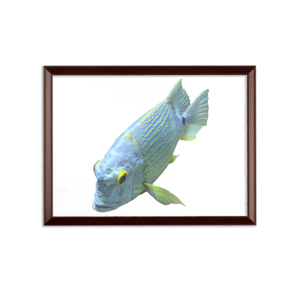 BlueYellowFish Sublimation Wall Plaque with brown wooden frame and white printable surface, showcasing customizable design options.