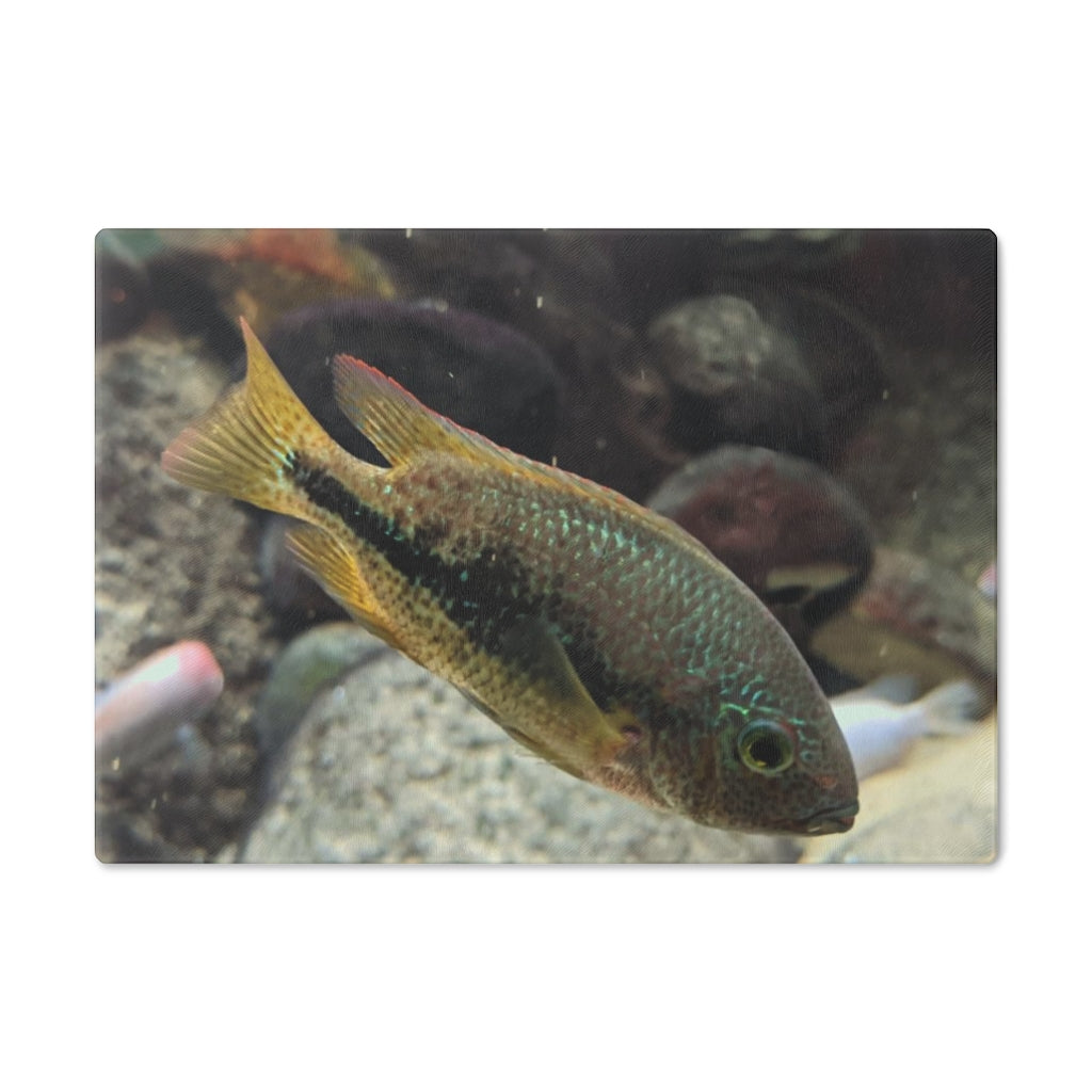 A stylish Brown and Orange Fish Cutting Board made of tempered glass, featuring a vibrant fish design and rubber dots for stability.