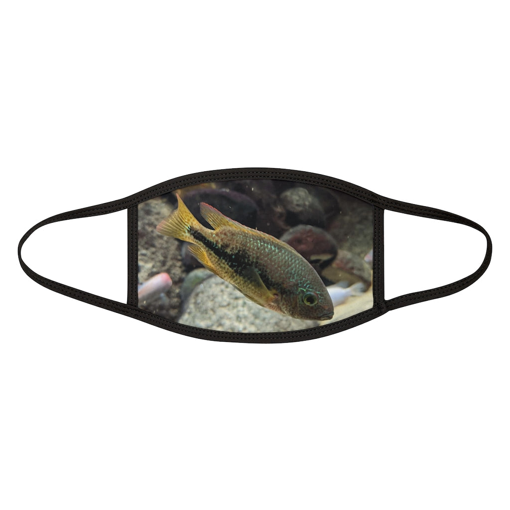 Brown and orange fish patterned mixed-fabric face mask with black edges and earloops, designed for everyday use.