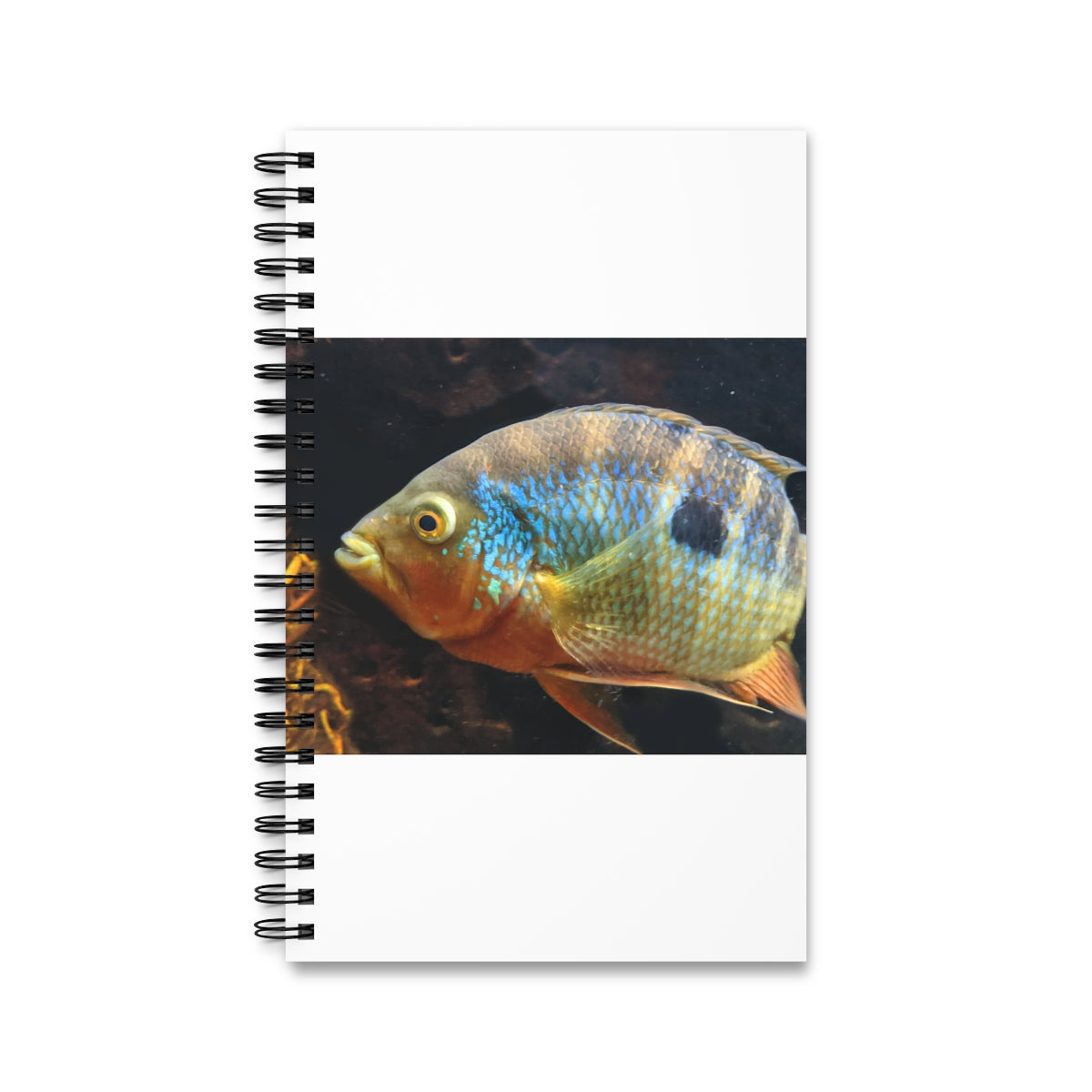 Brown and orange spiral journal featuring a fish design on the front cover, showcasing its vibrant colors and spiral binding.