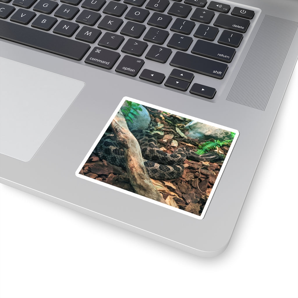 Brown Black Snake Kiss-Cut Stickers showcasing intricate design and flexible application.