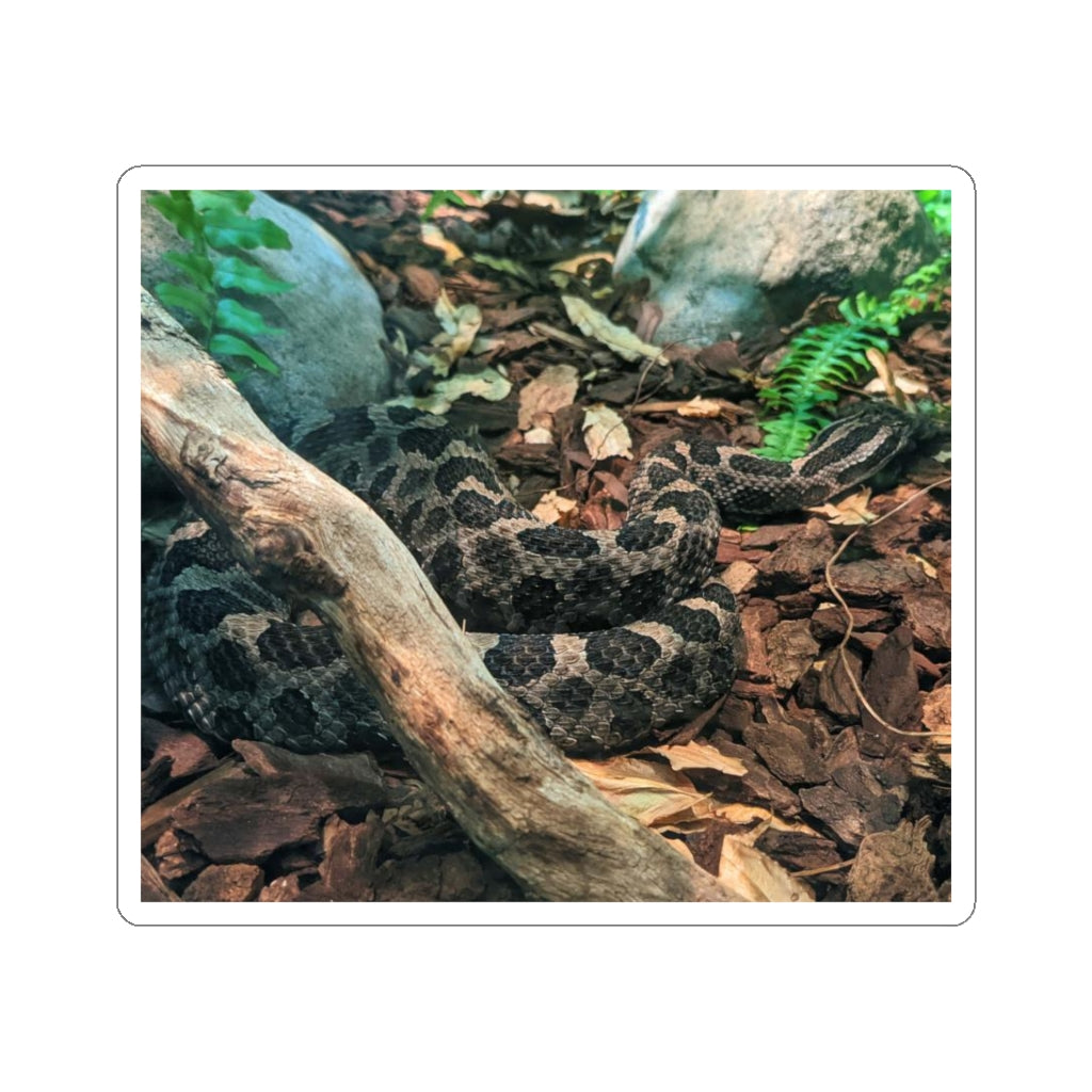 Brown Black Snake Kiss-Cut Stickers showcasing intricate design and flexible application.