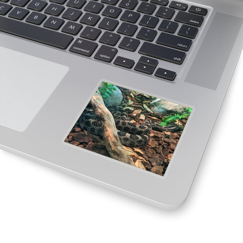 Brown Black Snake Kiss-Cut Stickers showcasing intricate design and flexible application.