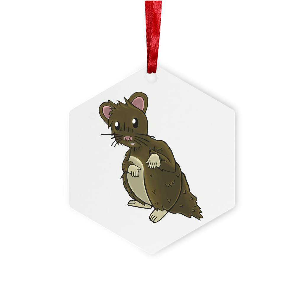 BrownHamster Metal Hanging Ornament in hexagon and star shapes, featuring a glossy white finish and red ribbon for hanging.