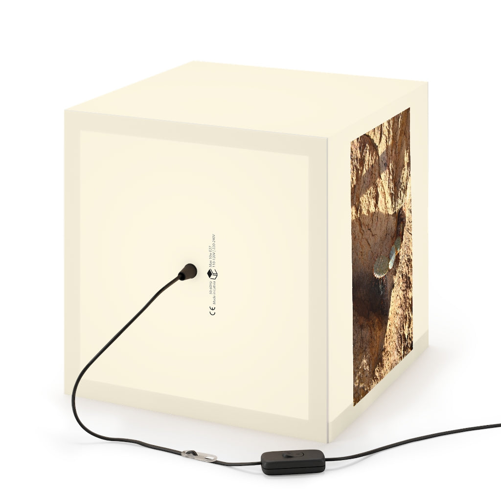 A stylish Cactus Personalized Lamp in a cube shape, showcasing its unique design and soft glow, perfect for home or shop decor.