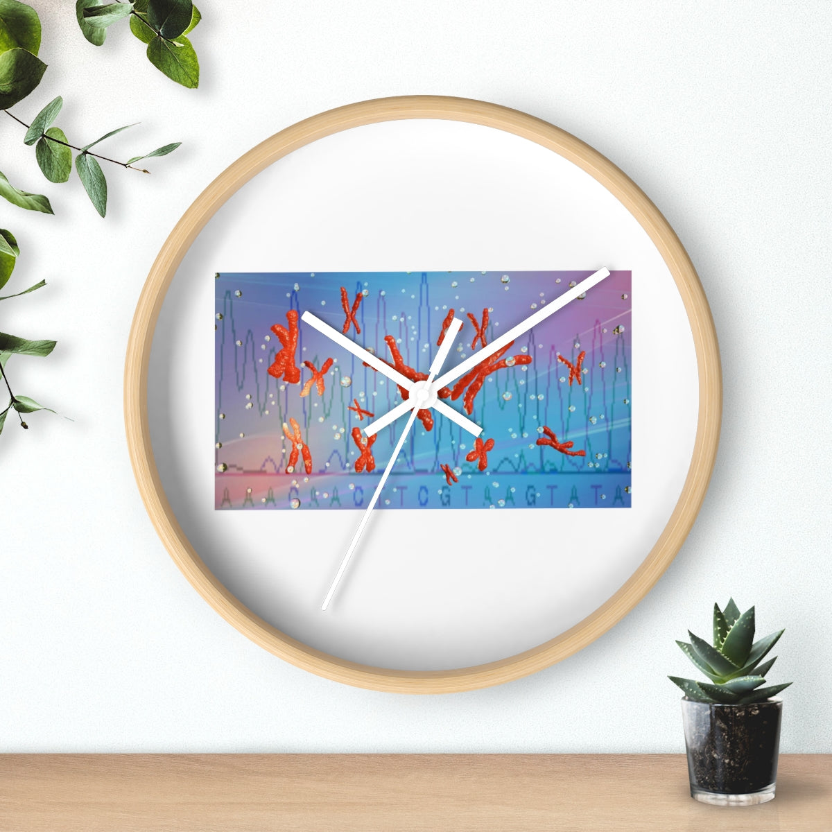 A stylish Chromosomes Wall Clock featuring a unique design with a wooden frame and plexiglass face, perfect for indoor decor.
