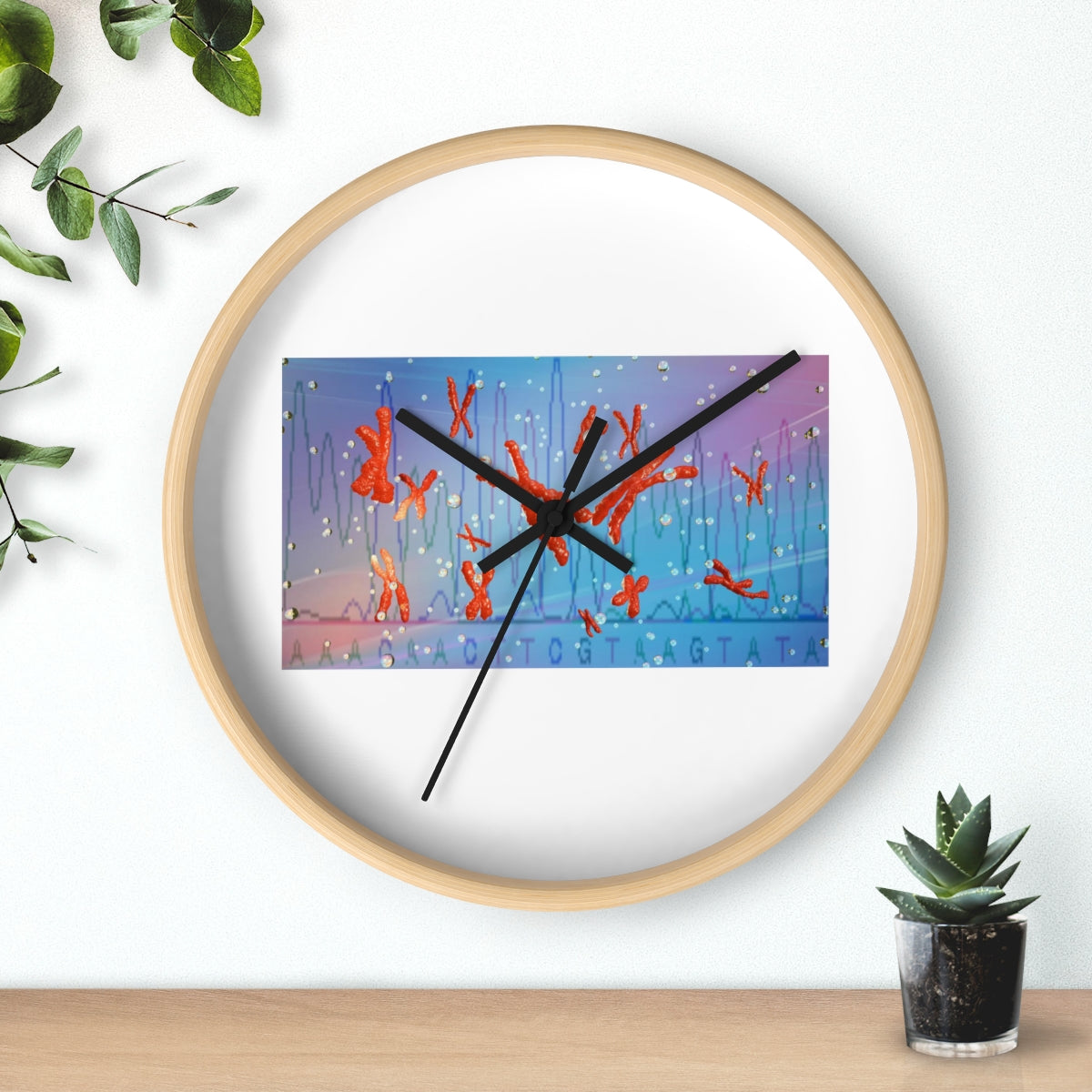 A stylish Chromosomes Wall Clock featuring a unique design with a wooden frame and plexiglass face, perfect for indoor decor.