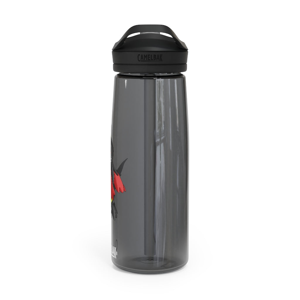 Cloudyking CamelBak Eddy® Water Bottle in 20oz and 25oz sizes, showcasing its robust design and spill-proof biting valve.