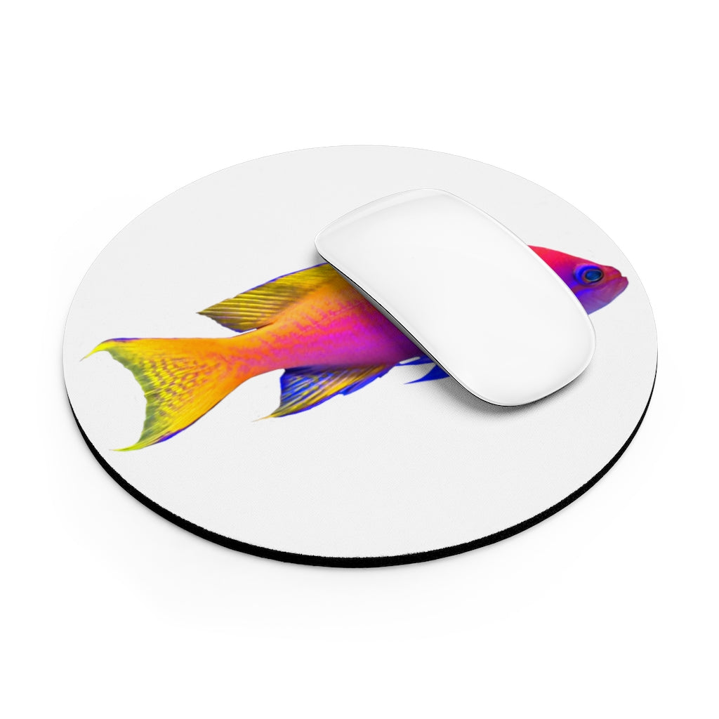 Colored Fish Mouse Pad featuring vibrant fish design in round and rectangular shapes, made of neoprene with a non-slip rubber bottom.