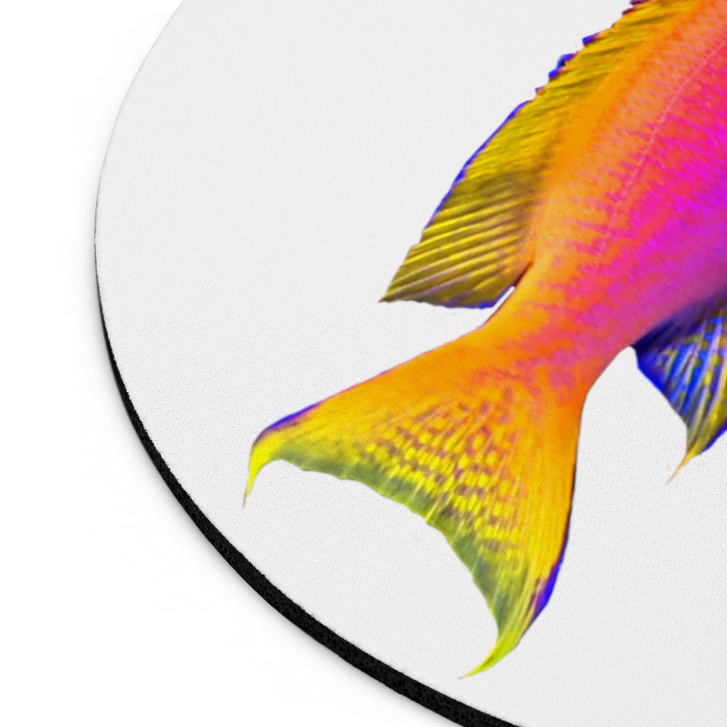 Colored Fish Mouse Pad featuring vibrant fish design in round and rectangular shapes, made of neoprene with a non-slip rubber bottom.