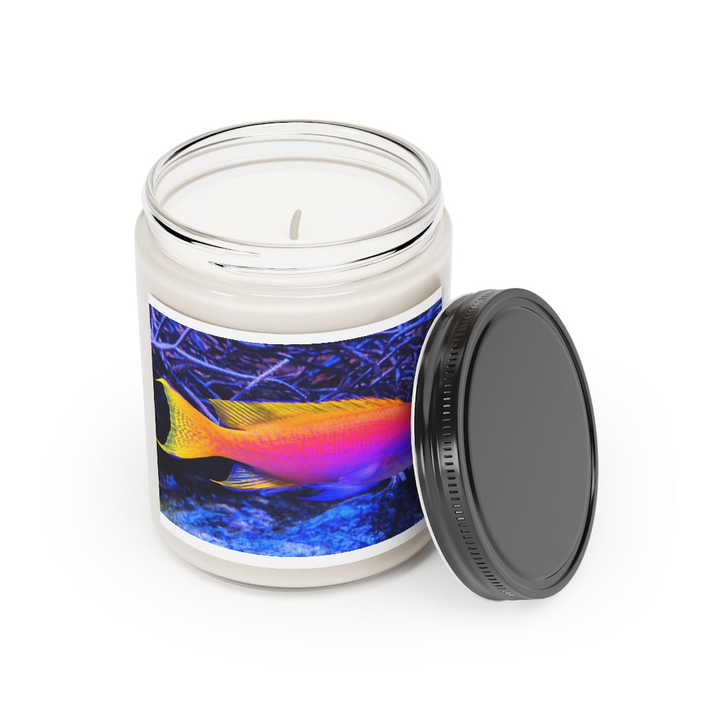 Colored Fish Scented Candle in a glass container, showcasing its vibrant colors and elegant design.