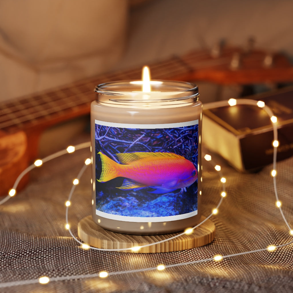 Colored Fish Scented Candle in a glass container, showcasing its vibrant colors and elegant design.